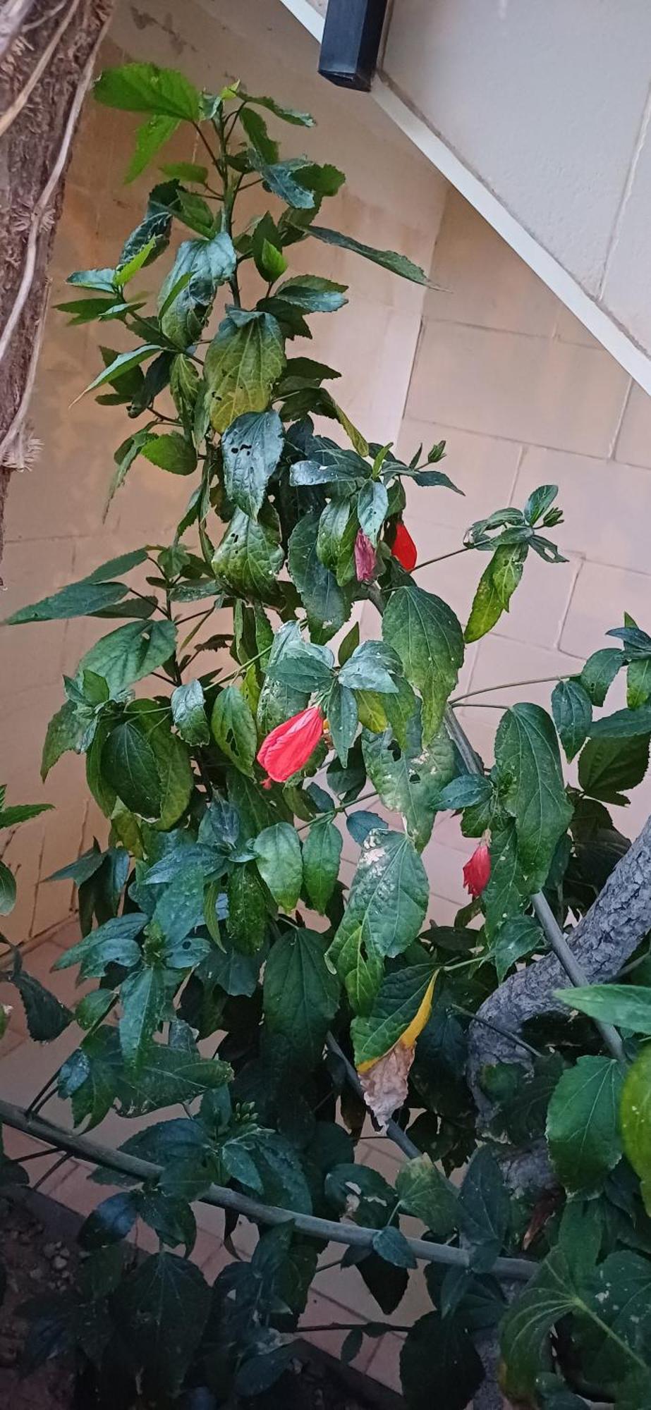 The Roof Garden Maisonette 马尔萨斯卡拉 外观 照片
