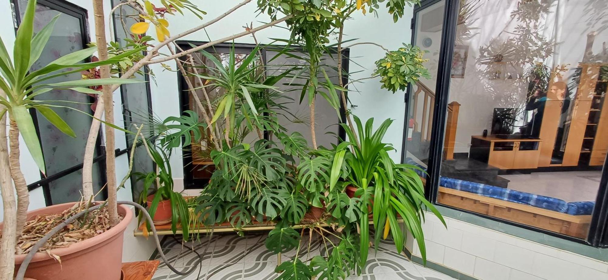 The Roof Garden Maisonette 马尔萨斯卡拉 外观 照片